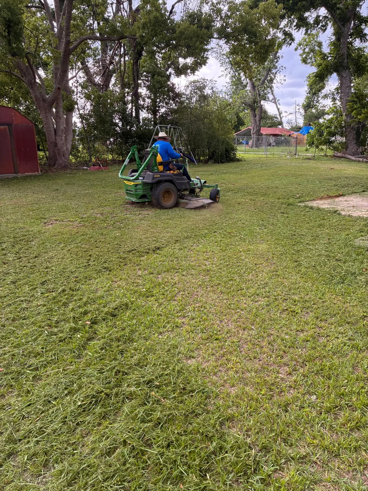 Lawn & Property Cleanup
